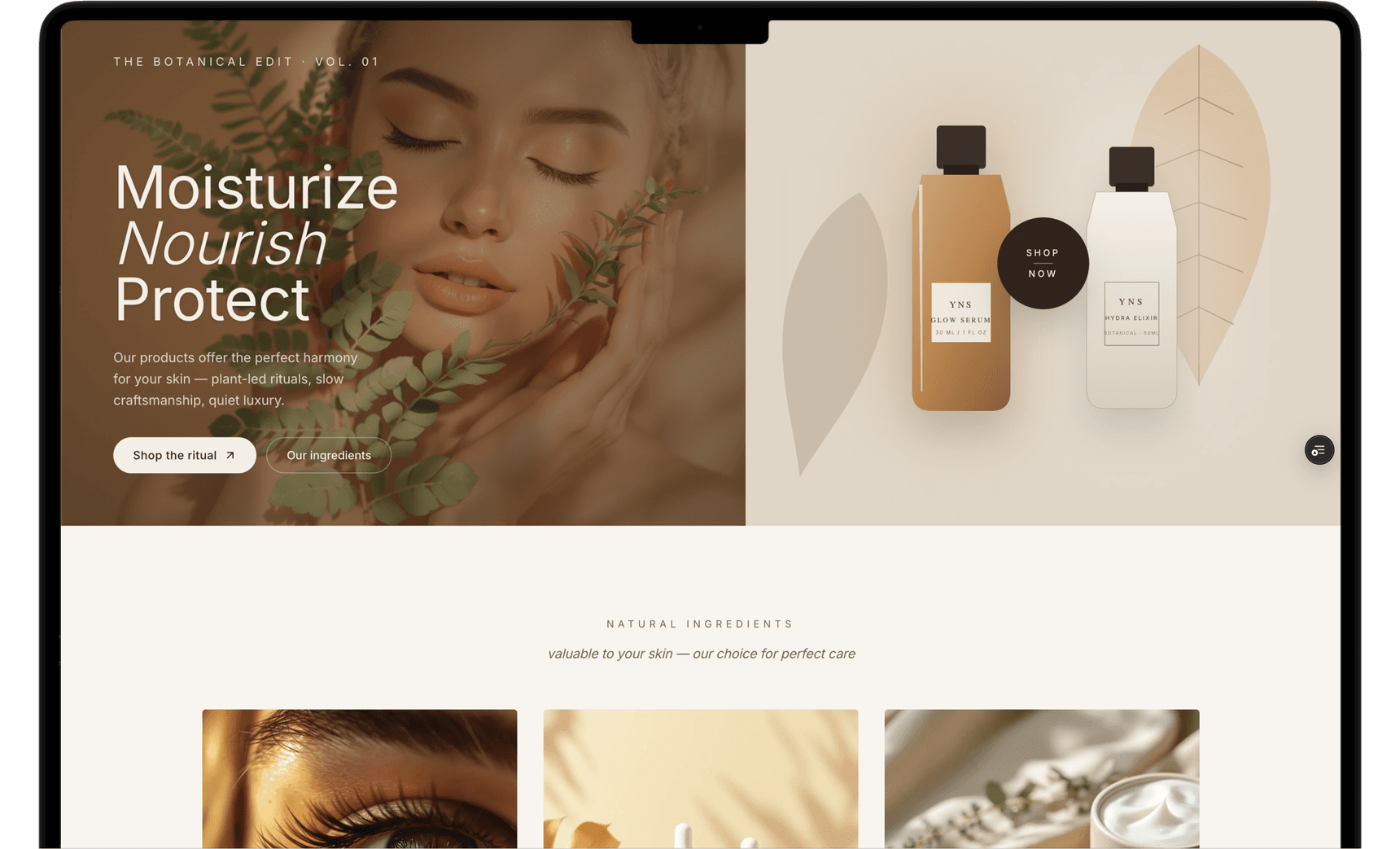 Storefront template preview in a laptop frame