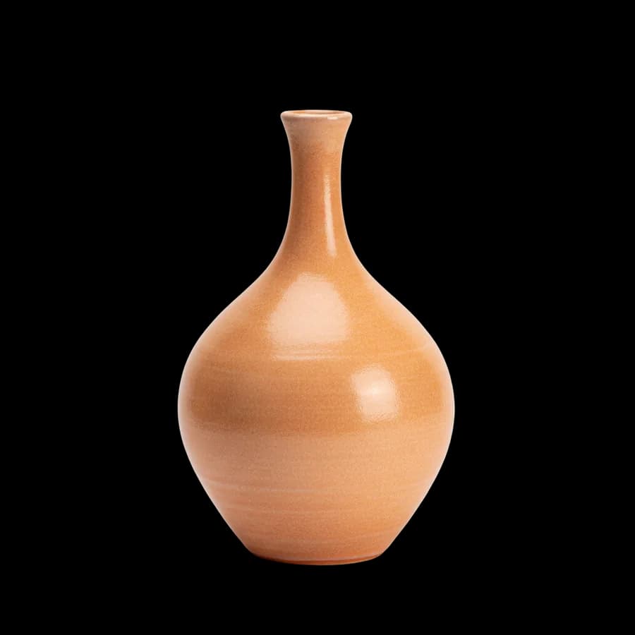 Vase bouteille en terre cuite