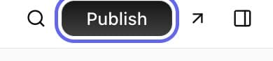 The top-right of the dashboard showing the Publish button next to the preview (open store) icon