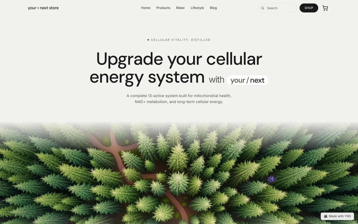 Moss store template, home page