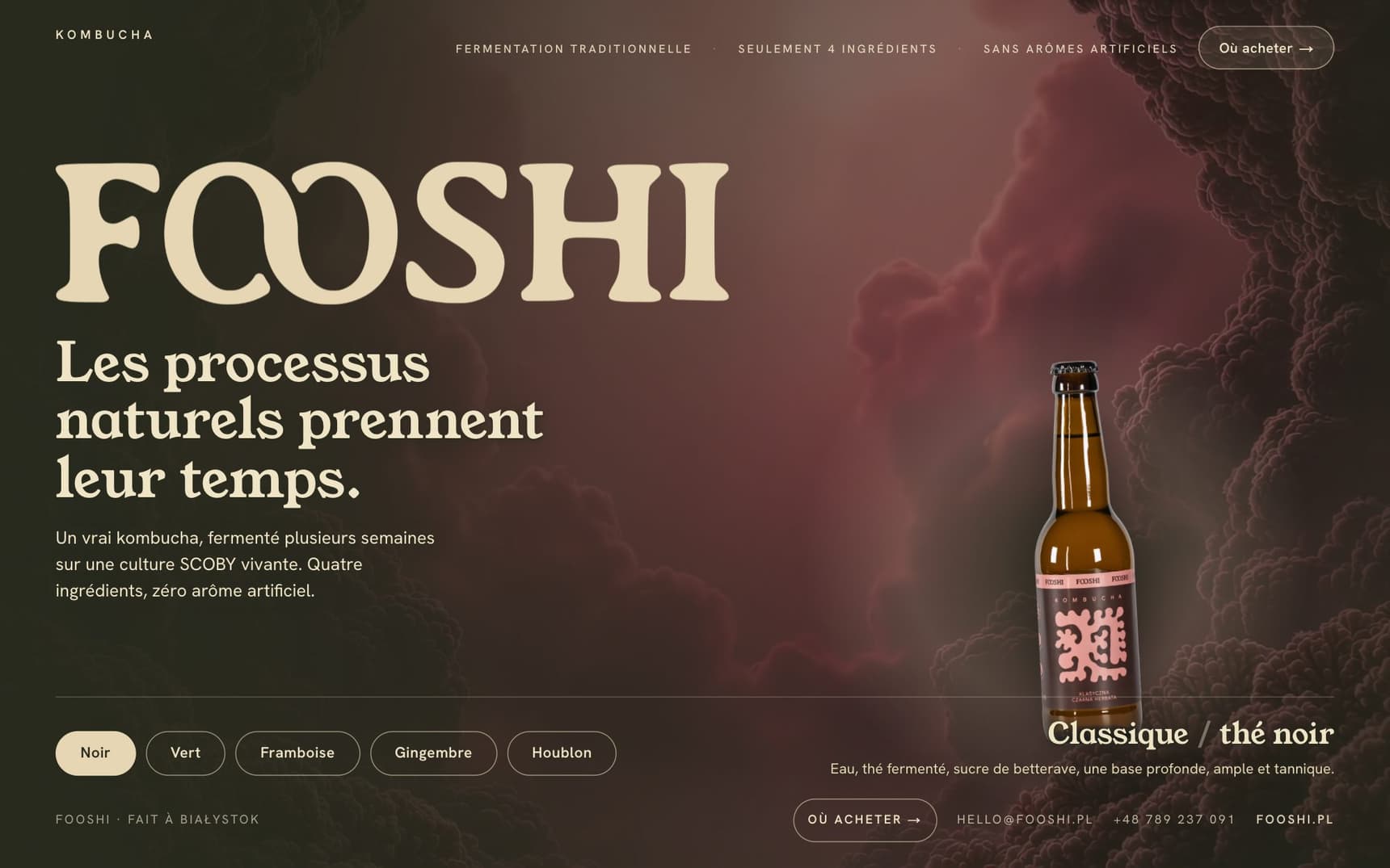 Le site vitrine fooshi.pl actuel