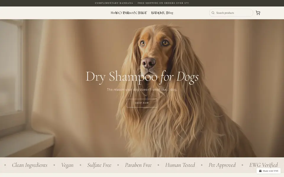 Paws store template, home page