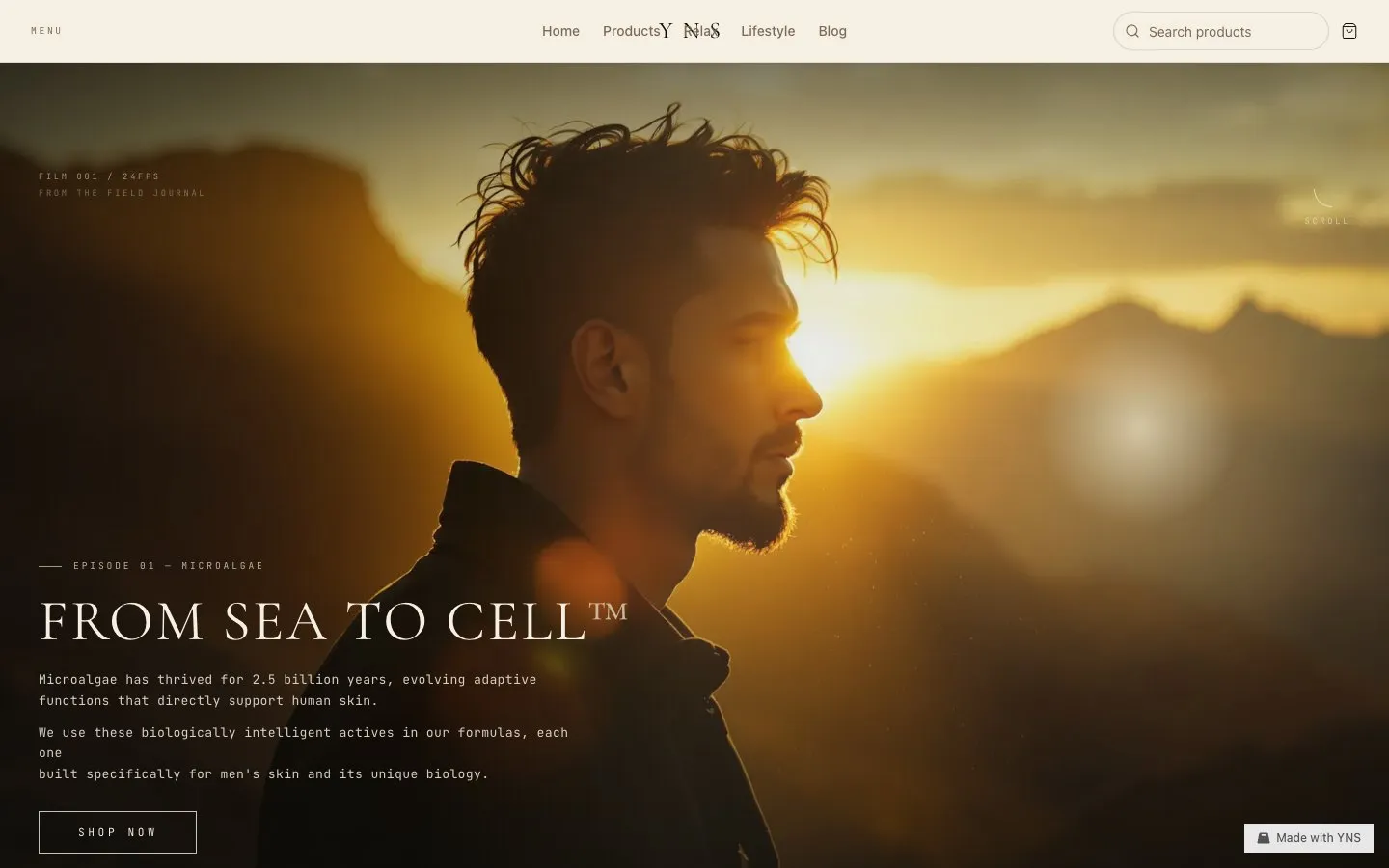 Tawny store template, home page