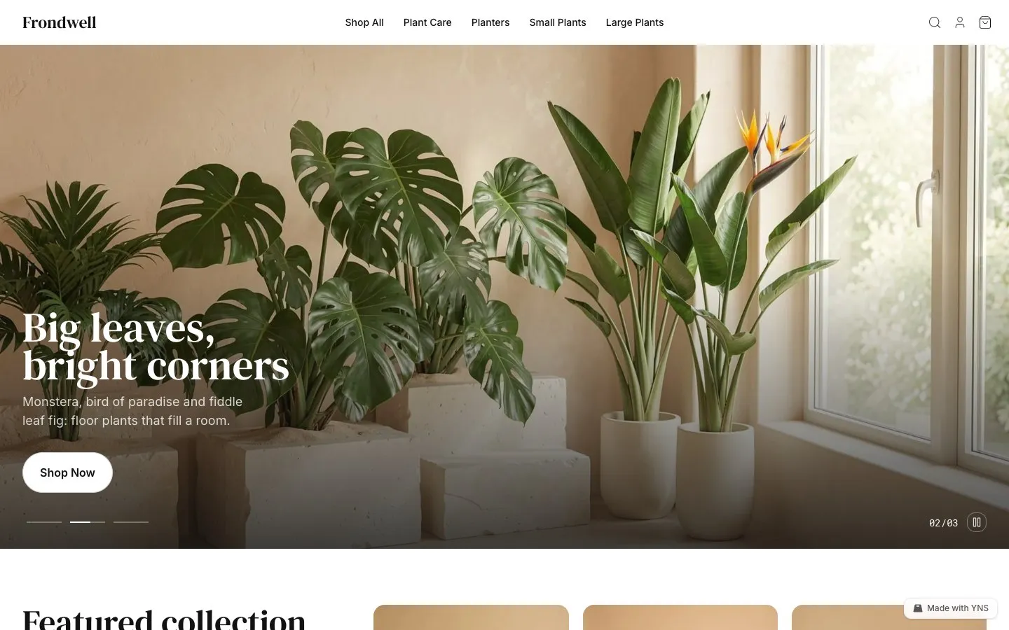 Frondwell store template, home page