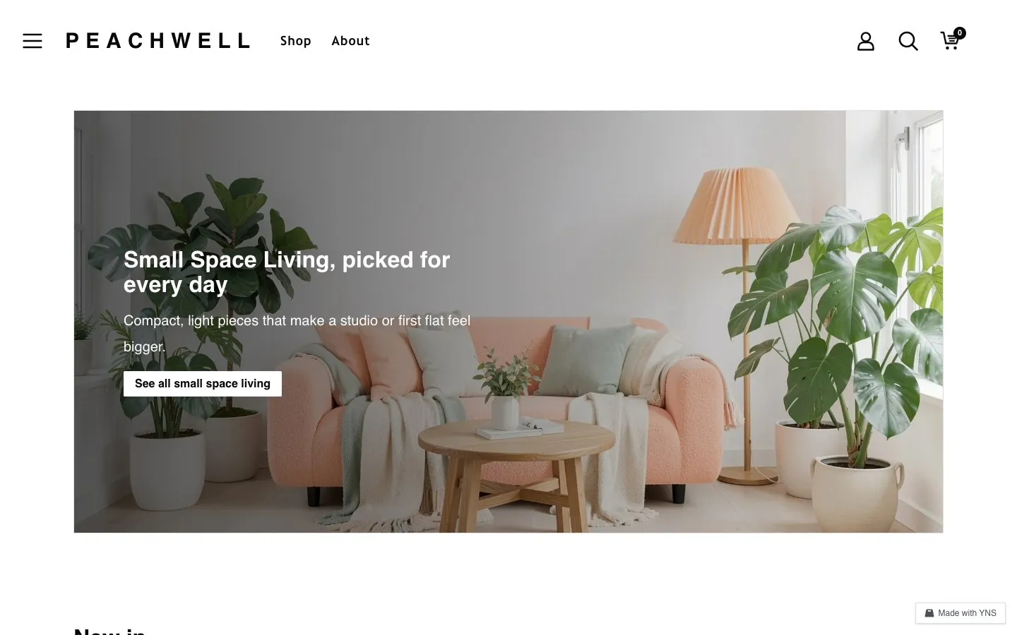 Peachwell store template, home page